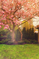 Similar image 13088230