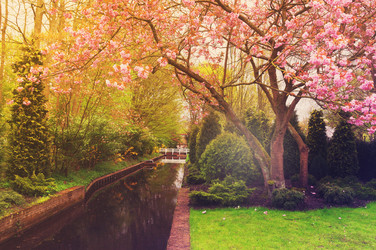 Similar image 13088251