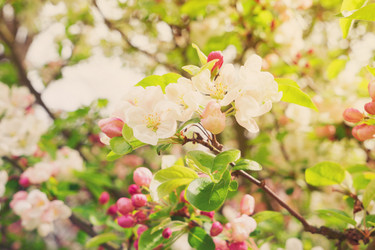 Similar image 13088252