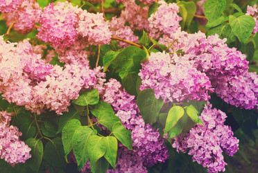 Similar image 13088271