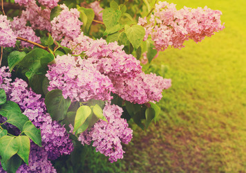 Similar image 13088272