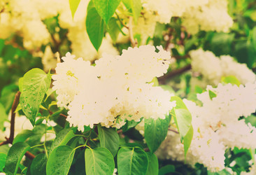 Similar image 13088291