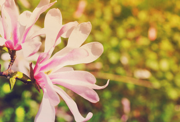 Similar image 13088292