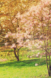 Similar image 13088328