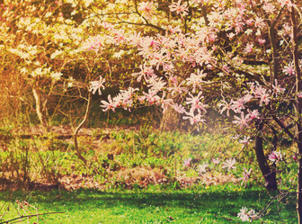 Similar image 13088329