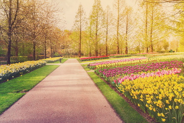 Similar image 13088411