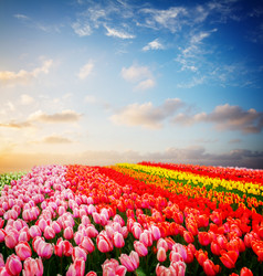 Similar image 13088493