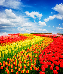 Similar image 13088690