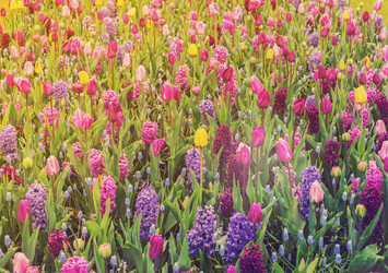 Similar image 13088710