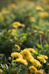 Similar image 13073870