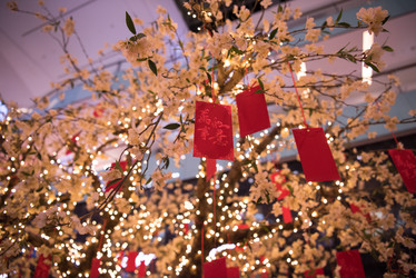 Similar image 13073828