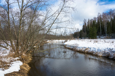 Similar image 13080252