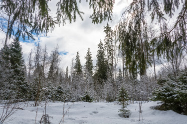 Similar image 13080265