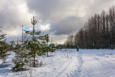 Similar image 13080266