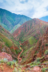 Similar image 13080254