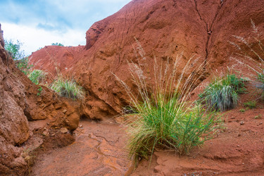 Similar image 13080269