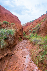 Similar image 13080281