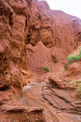 Similar image 13080282