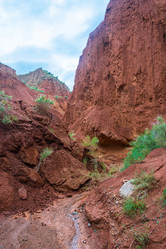 Similar image 13080284