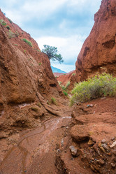 Similar image 13080285