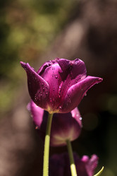 Similar image 13105580