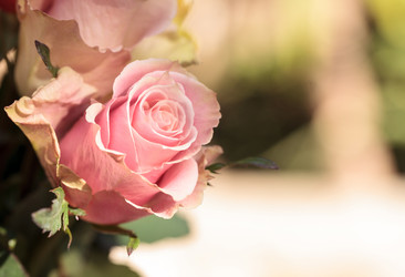 Similar image 13105602