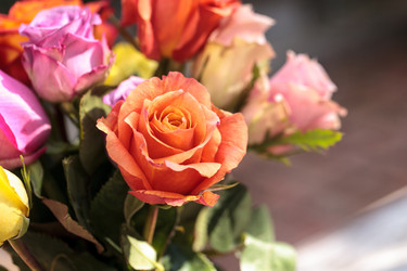 Similar image 13105603