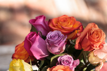 Similar image 13105604