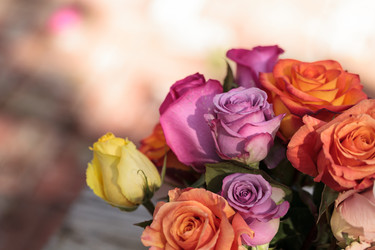 Similar image 13105622