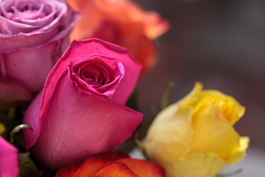 Similar image 13105645