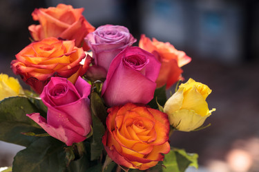 Similar image 13105646