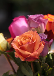 Similar image 13105658