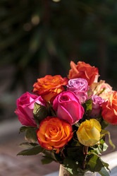 Similar image 13105659