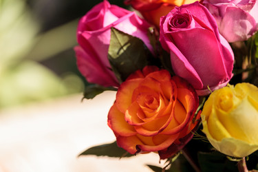 Similar image 13105660