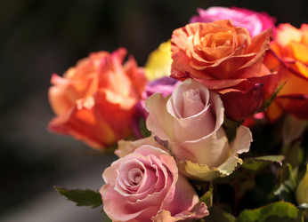 Similar image 13105661