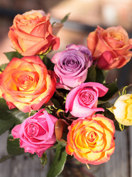 Similar image 13105686