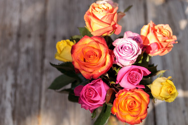 Similar image 13105687