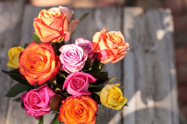 Similar image 13105718