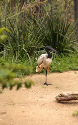 Similar image 13105739