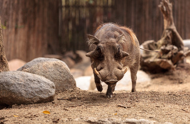 Similar image 13105762