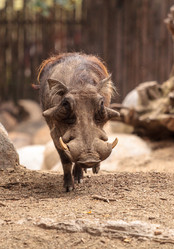 Similar image 13105763