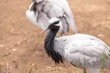 Similar image 13105784