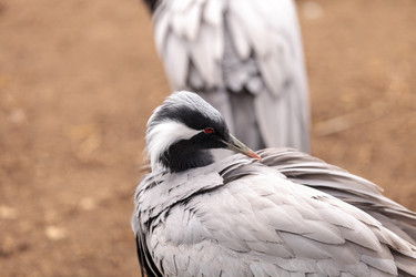 Similar image 13105799