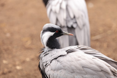 Similar image 13105800