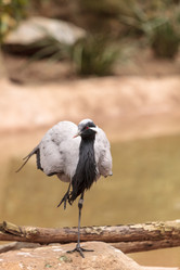 Similar image 13105801