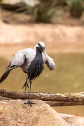 Similar image 13105803