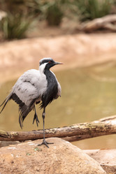 Similar image 13105823