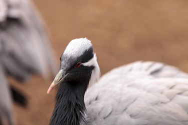 Similar image 13105838