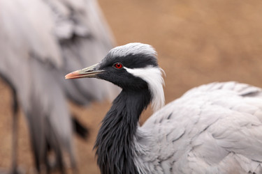 Similar image 13105839