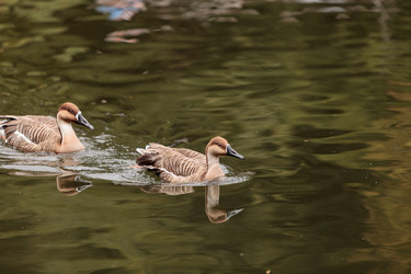 Similar image 13099559